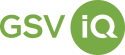 GSViQ_logo